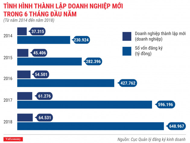 Toàn cảnh bức tranh thành lập doanh nghiệp quý 2/2018 - Ảnh 4.