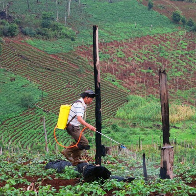 Tổng rà soát đất đai nông lâm trường