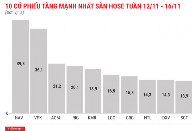 Top 10 cổ phiếu tăng/giảm mạnh nhất tuần 12-16/11 - Ảnh 3.