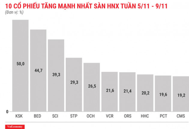 Top 10 cổ phiếu tăng/giảm mạnh nhất tuần 5-9/11 - Ảnh 7.