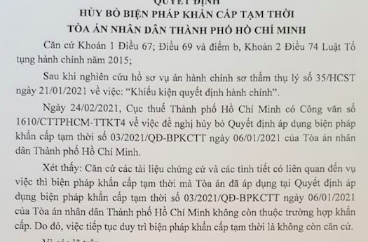 Tuần sau sẽ cưỡng chế thu hồi 400 tỷ tiền thuế Thuduc House - Ảnh 1.