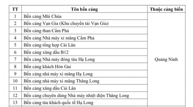 Việt Nam có thêm 8 bến cảng biển mới, nâng tổng số lên 286 - Ảnh 1.