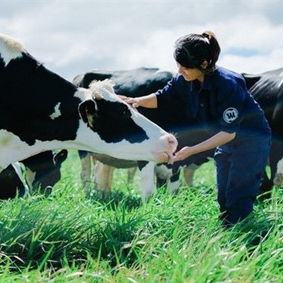 Vinamilk lại chào mua cổ phần GTNfoods thấp hơn 24% giá thị trường