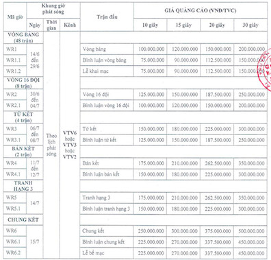 VTV có thể thu 1-1,5 tỷ đồng/phút quảng cáo trận Chung kết World Cup - Ảnh 1.