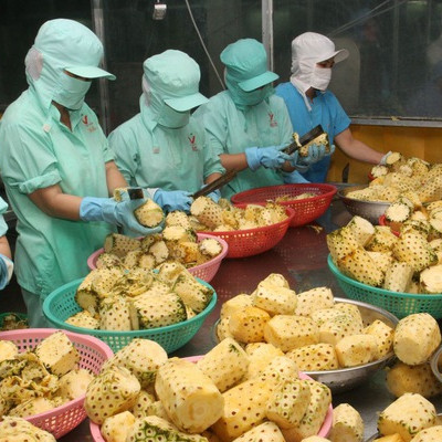 Xuất khẩu ngành nông nghiệp đạt gần 33 tỷ USD