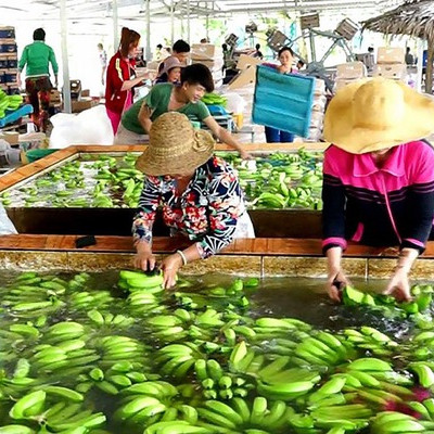 Xuất khẩu sang Trung Quốc ngày càng khó
