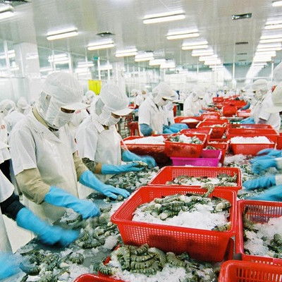 Xuất khẩu thủy sản lập mốc 9 tỷ USD năm 2018