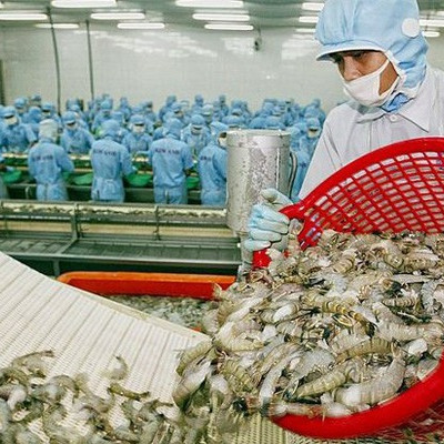 Xuất khẩu thủy sản sang Trung Quốc đang phục hồi