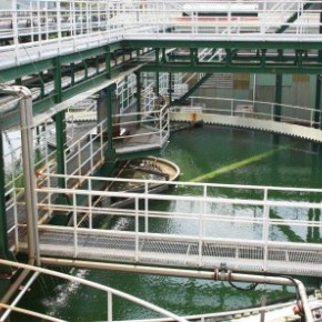 Ajinomoto Việt Nam với phương châm phát triển vì môi trường