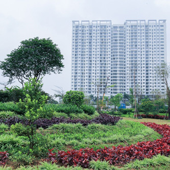 Anland sắp bàn giao căn hộ cho khách hàng