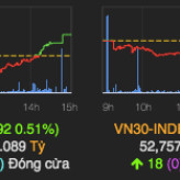 VN-Index đảo chiều ngoạn mục