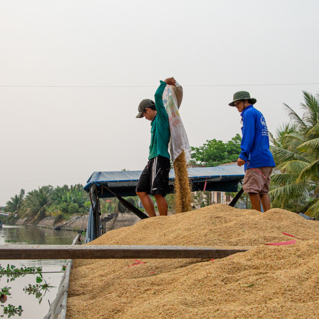 Bộ Công Thương kiến nghị xuất khẩu gạo trở lại