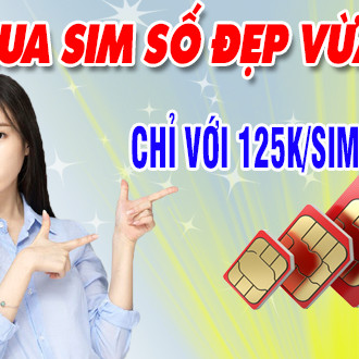 Chọn mua sim số đẹp với giá hợp lý