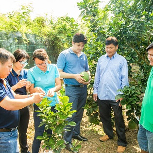 Chương trình đào tạo nhà nông góp phần nâng chất lượng nông sản xuất khẩu