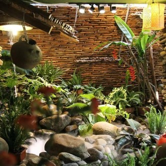 Cơ hội nhận nhượng quyền kinh doanh nhà hàng lợi nhuận cao