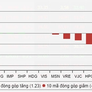 Cổ phiếu ngân hàng khiến VN-Index giảm gần 18 điểm