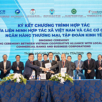 'Cởi trói' cho kinh tế hợp tác xã