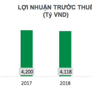 FE Credit chuyển thành công ty cổ phần