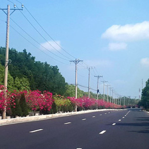 Giá đất Cần Giờ tăng hơn 200% sau các cơn sốt đất