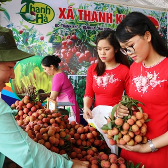 Hải Dương sẽ xuất khẩu 1.000 tấn vải thiều trong năm 2018