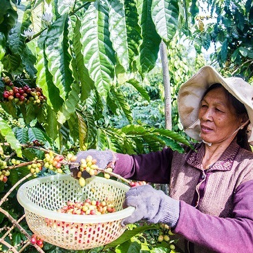 Hiệp định thương mại tự do Việt Nam - EU mở ra nhiều cơ hội lớn