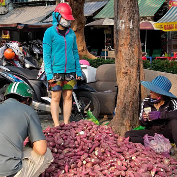 Khoai lang Nhật giá rẻ bán đầy vỉa hè Sài Gòn