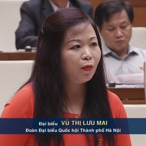 'Không quốc gia nào mỗi tỉnh, thành phố có một dự án như Việt Nam'