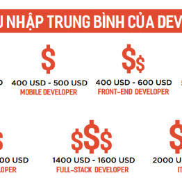 Lương IT bình quân ở Việt Nam 10-25 triệu đồng mỗi tháng