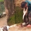 'Nên nuôi chó trang trại lấy thịt như Hàn Quốc để dẹp nạn cẩu tặc'