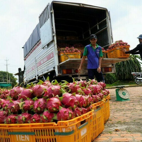 Ngân hàng giảm lãi cho doanh nghiệp thiệt hại vì nCoV