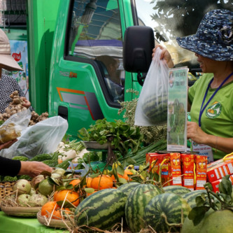 Người thành thị 'săn tìm' thực phẩm sạch