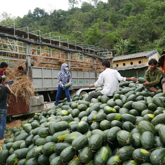 Nhiều mặt hàng xuất khẩu sang Trung Quốc gặp khó