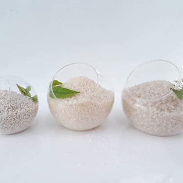 Nhựa phân hủy sinh học Việt Nam đạt chứng nhận quốc tế