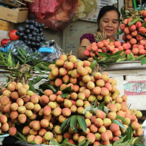 Nông nghiệp Việt Nam tăng trưởng cao nhất trong 7 năm