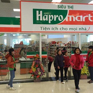 Tập đoàn BRG muốn thâu tóm Hapro