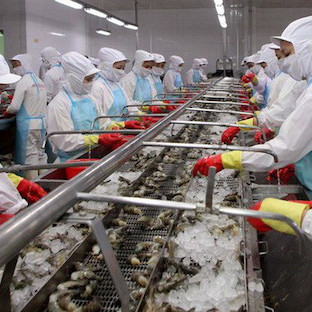 Tập đoàn nước ngoài tìm cơ hội kết nối tại Diễn đàn kinh tế tư nhân