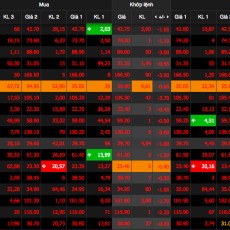 Thị trường lao dốc, VN-Index mất mốc kỷ lục