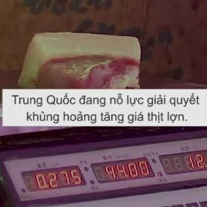 Trung Quốc nỗ lực giữ giá thịt lợn