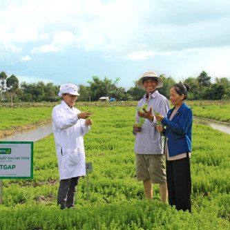 Uniben hỗ trợ nông dân thực hiện VietGAP, phát triển vùng nguyên liệu sạch