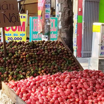 Vài trăm nghìn một kg mận hậu vỉa hè Sài Gòn