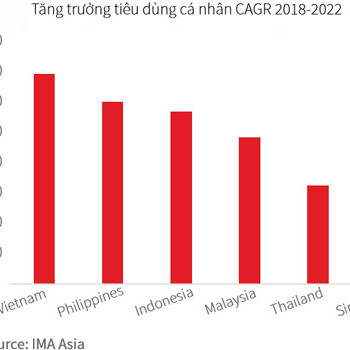 Việt Nam - ngôi sao đang lên của nền kinh tế trực tuyến 200 tỷ USD