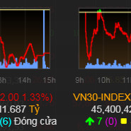 VN-Index giảm phiên thứ 8 liên tiếp