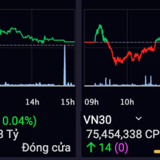 VN-Index giữ mốc 970 điểm