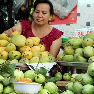 Xoài giảm giá mạnh